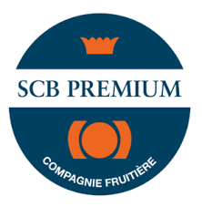 logo SCB